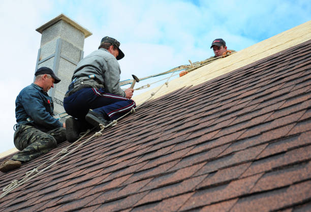 Best Roof Waterproofing Services  in North Bennington, VT